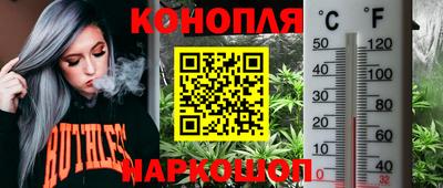 сатива Уссурийск