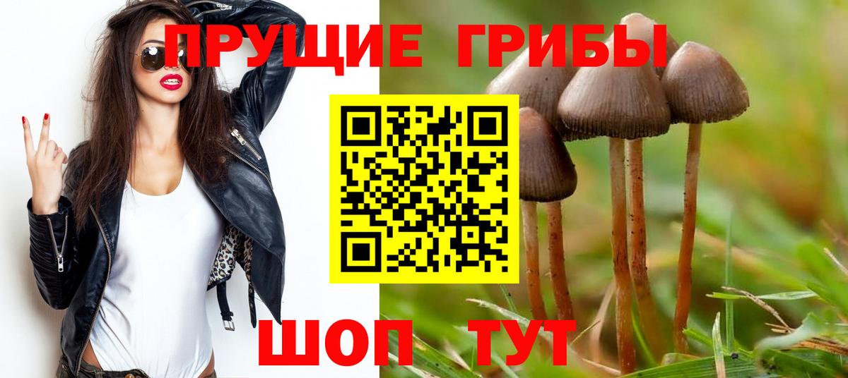 Галлюциногенные грибы мицелий  Вход с VPN  Белгород 